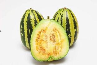 g718sx娱乐吃瓜,揭秘吃瓜群众的狂欢盛宴  第1张